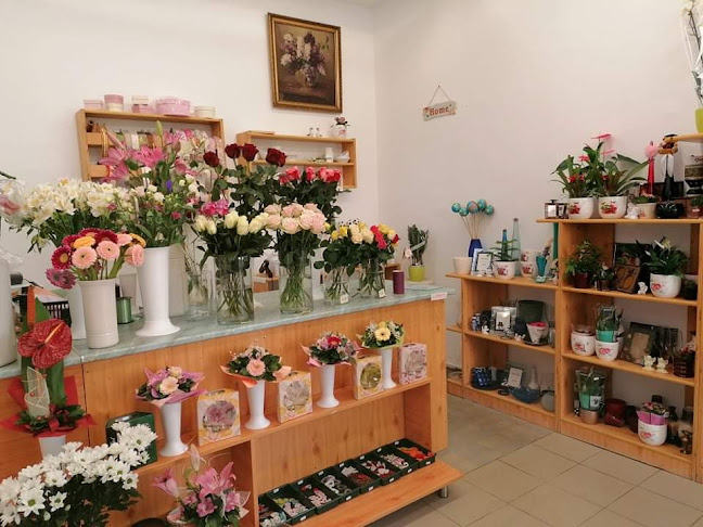 Értékelések erről a helyről: Pitkin virág-ajándék, Pécs - Virágárus