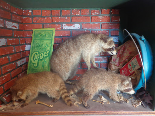 Antique Store «Rustology Antiques and Oddities», reviews and photos, 21 Main St, Stafford Springs, CT 06076, USA