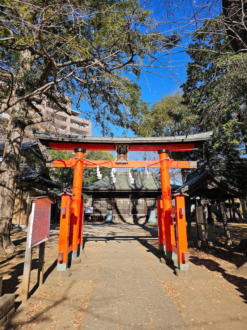 大谷場氷川神社のユリノキ