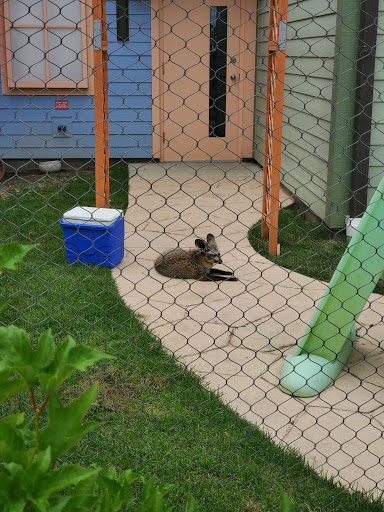 Water Park «Zoombezi Bay», reviews and photos, 10101 Riverside Dr, Powell, OH 43065, USA