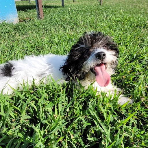 Pet Store «PV Pets», reviews and photos, 233 S Broadway, Pennsville, NJ 08070, USA