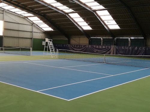 Court de tennis Comité Départemental Tennis Albi