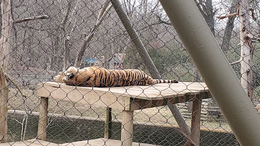 Zoo «Mesker Park Zoo», reviews and photos, 1545 Mesker Park Dr, Evansville, IN 47720, USA