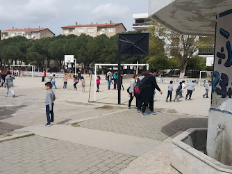 Felekşan Fırat Ortaokulu