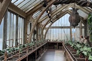 Professor Sprout’s Greenhouse image
