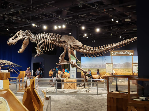 Science Museum «Orlando Science Center», reviews and photos, 777 E Princeton St, Orlando, FL 32803, USA