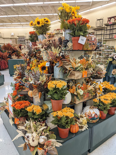 Craft Store «Hobby Lobby», reviews and photos, 1280 Willow Pass Rd, Concord, CA 94520, USA