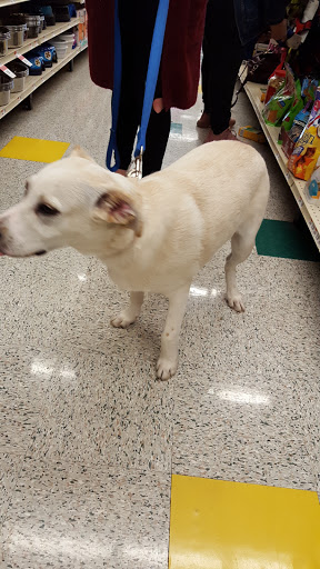 Pet Supply Store «Pet Supplies Plus», reviews and photos, 700 Nutt Rd, Phoenixville, PA 19460, USA