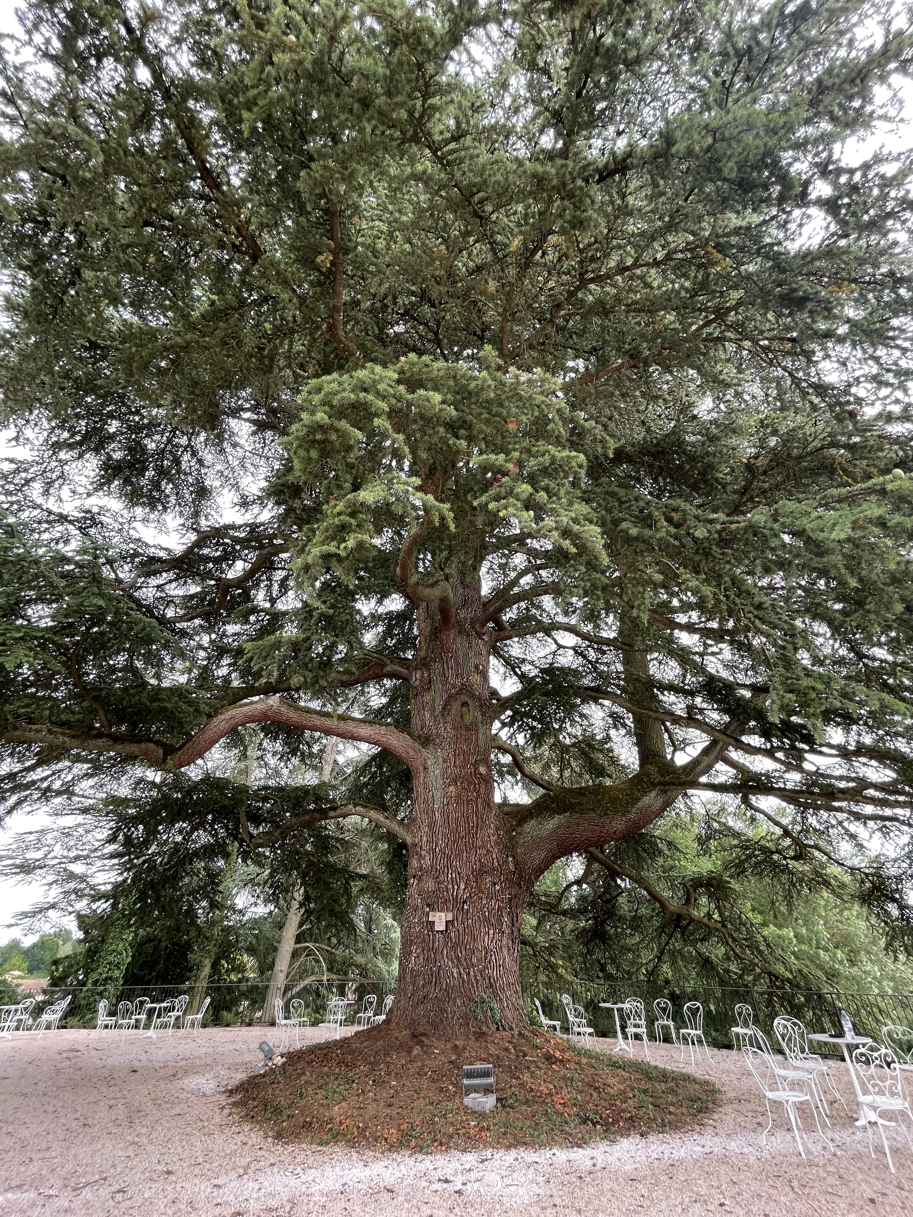 Photo n° 9 de l'avis de Cihan.e fait le 20/05/2022 à 19:47