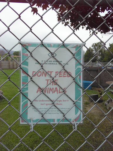 Farm «The Belmont Goats», reviews and photos, 9330 SE Harold St, Portland, OR 97266, USA