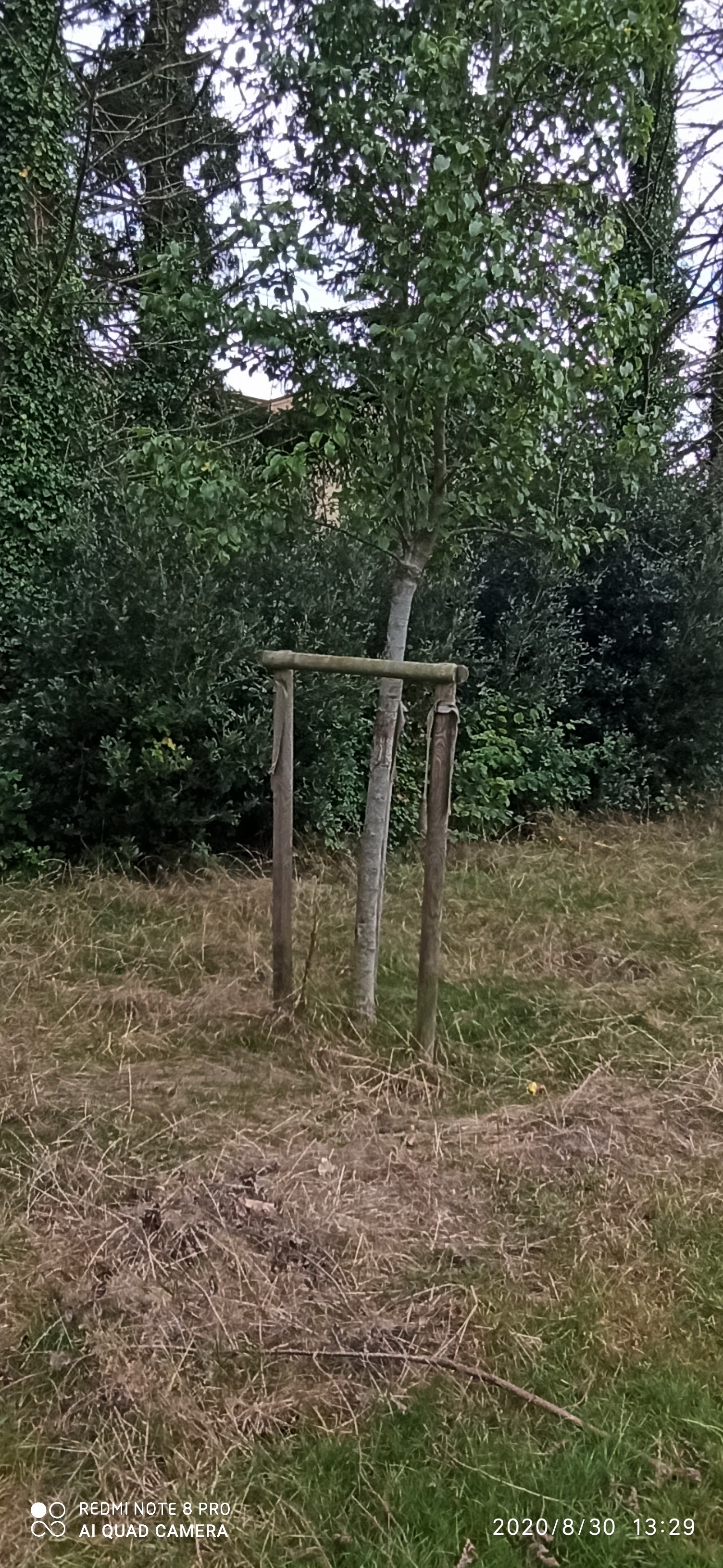 Photo n° 4 de l'avis de Shlomi.a fait le 27/09/2020 à 15:34