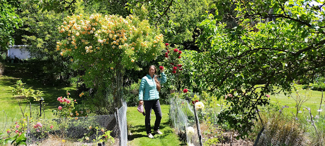 Reviews of Beautiful Gardens of Wānaka in Wanaka - Travel Agency