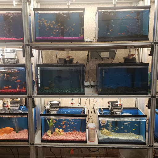 Pet Store «Planet Pet Shop», reviews and photos, 6624 Eastern Ave, Bell Gardens, CA 90201, USA