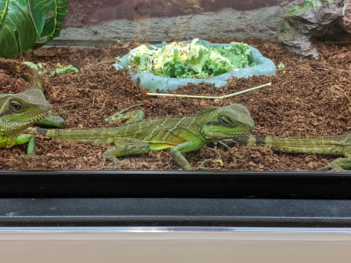 Pet Supply Store «Petco Animal Supplies», reviews and photos, 11331 W Broad St #151, Glen Allen, VA 23060, USA