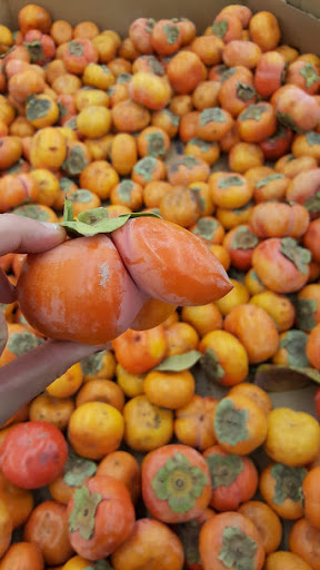 Supermarket «Arcadia Super Market», reviews and photos, 645 W Duarte Rd, Arcadia, CA 91007, USA