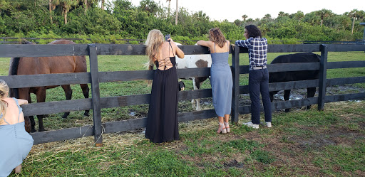 Tourist Attraction «Sterling Stables», reviews and photos, 6450 FL-520, Cocoa, FL 32926, USA
