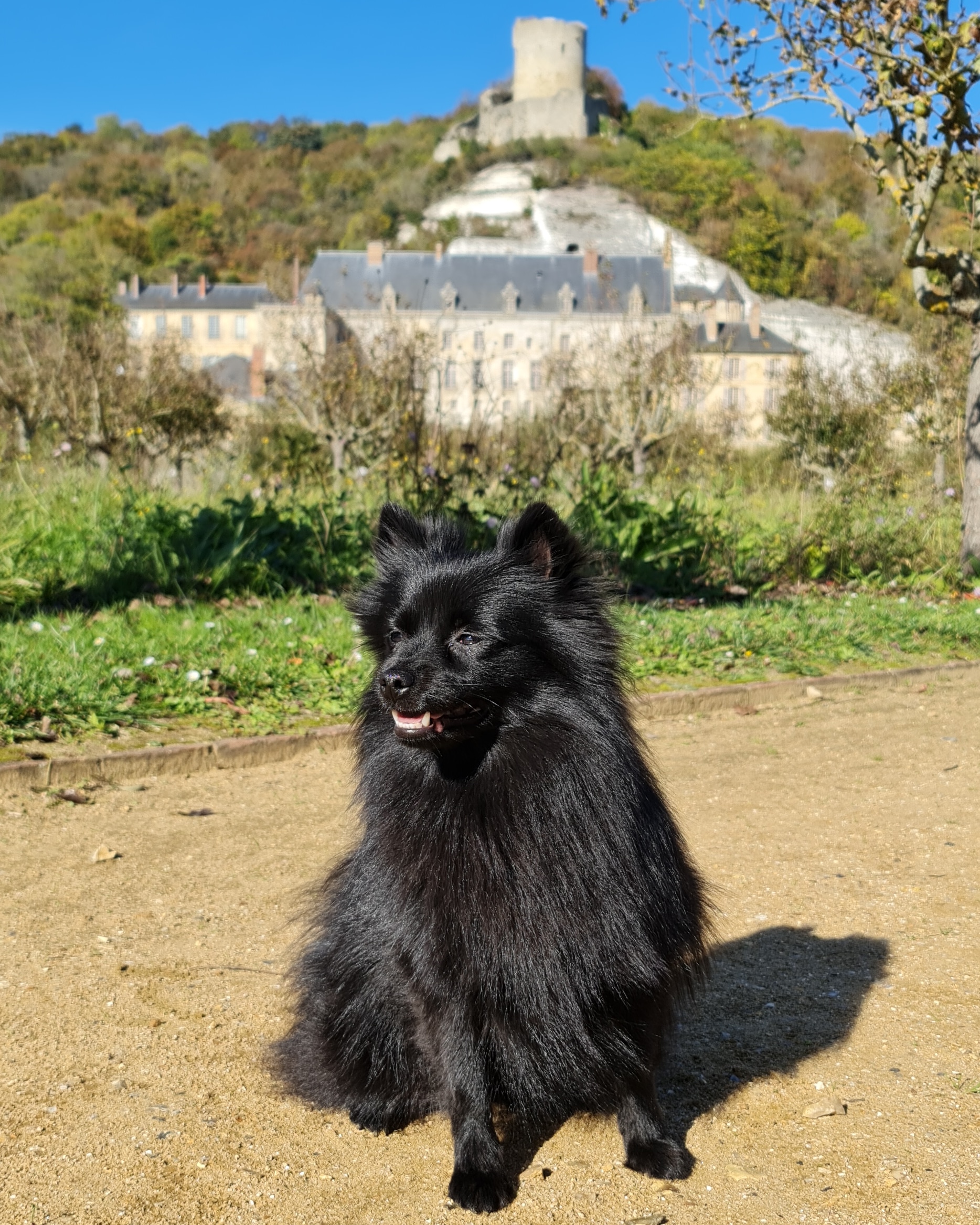 Photo n° 4 de l'avis de Marine.e fait le 21/02/2023 à 07:39