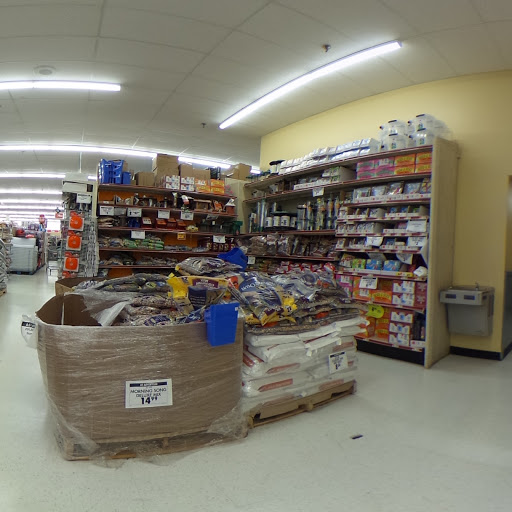 Discount Store «Ocean State Job Lot», reviews and photos, 360 Rhode Island Ave, Fall River, MA 02721, USA
