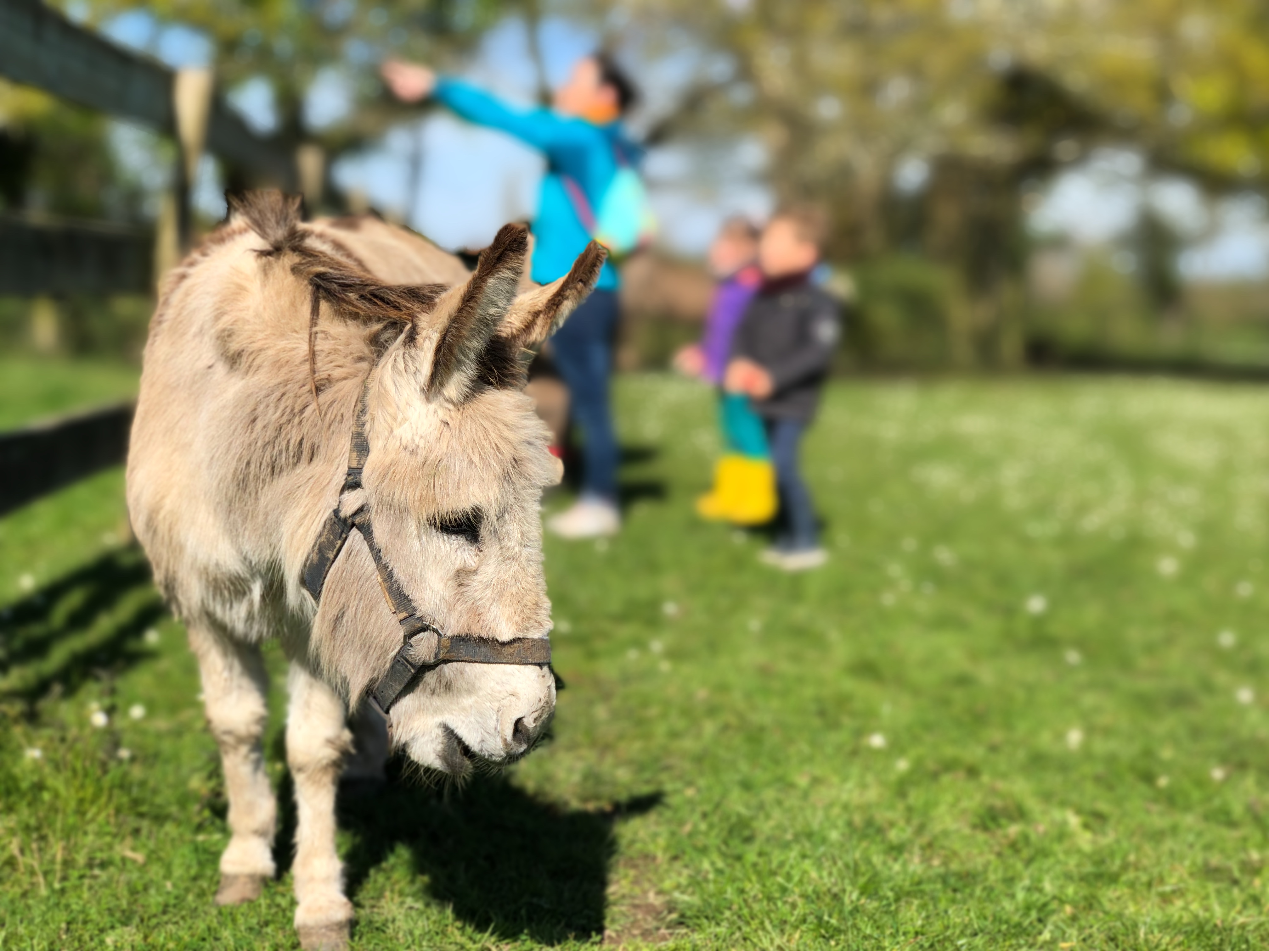 Photo n° 3 de l'avis de Yann.o fait le 07/05/2019 à 16:41