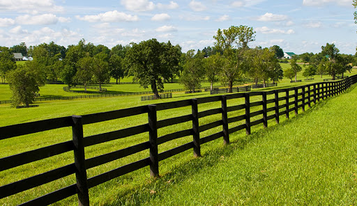 Fencing salon Murrieta