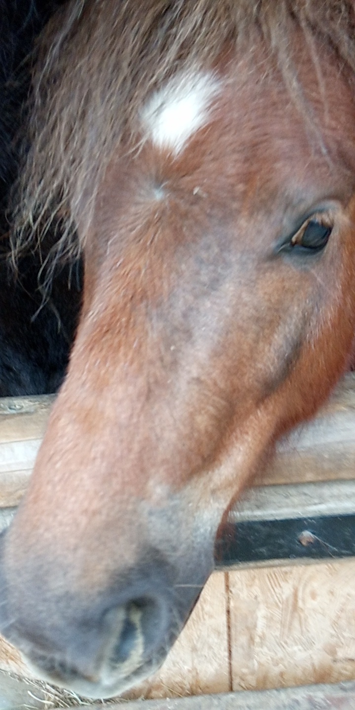 Photo n° 5 de l'avis de Cavalière.' fait le 30/06/2019 à 18:26
