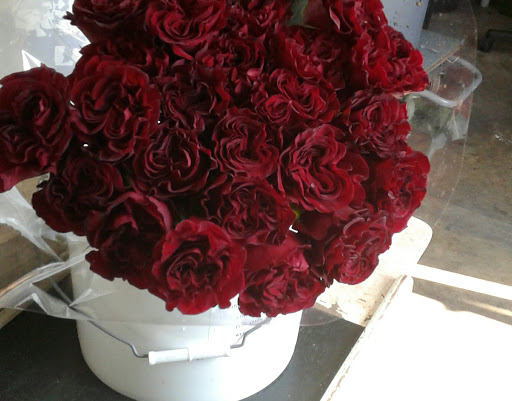 Florist «The Flower Place», reviews and photos, 860 NE 79th St, Miami, FL 33138, USA