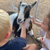 Desert Dawn Private School