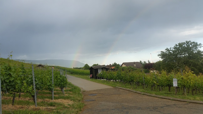 HuDiGu - Hundeschule Dina + Gudis - Neuenburg