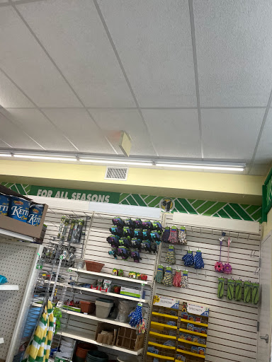 Dollar Store «Dollar Tree», reviews and photos, 1001 W County Line Rd, Hatboro, PA 19040, USA