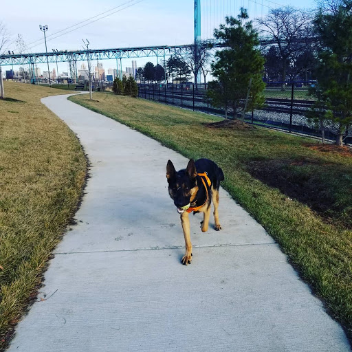 Pet Supply Store «Pet Supplies Plus», reviews and photos, 22124 Ecorse Rd, Taylor, MI 48180, USA