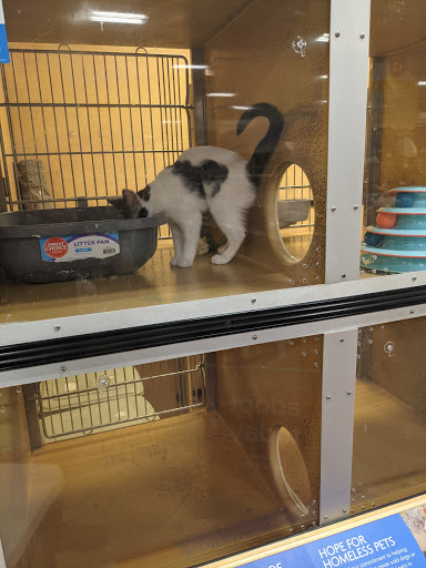 Pet Supply Store «PetSmart», reviews and photos, 150 Glynn Isle, Brunswick, GA 31525, USA