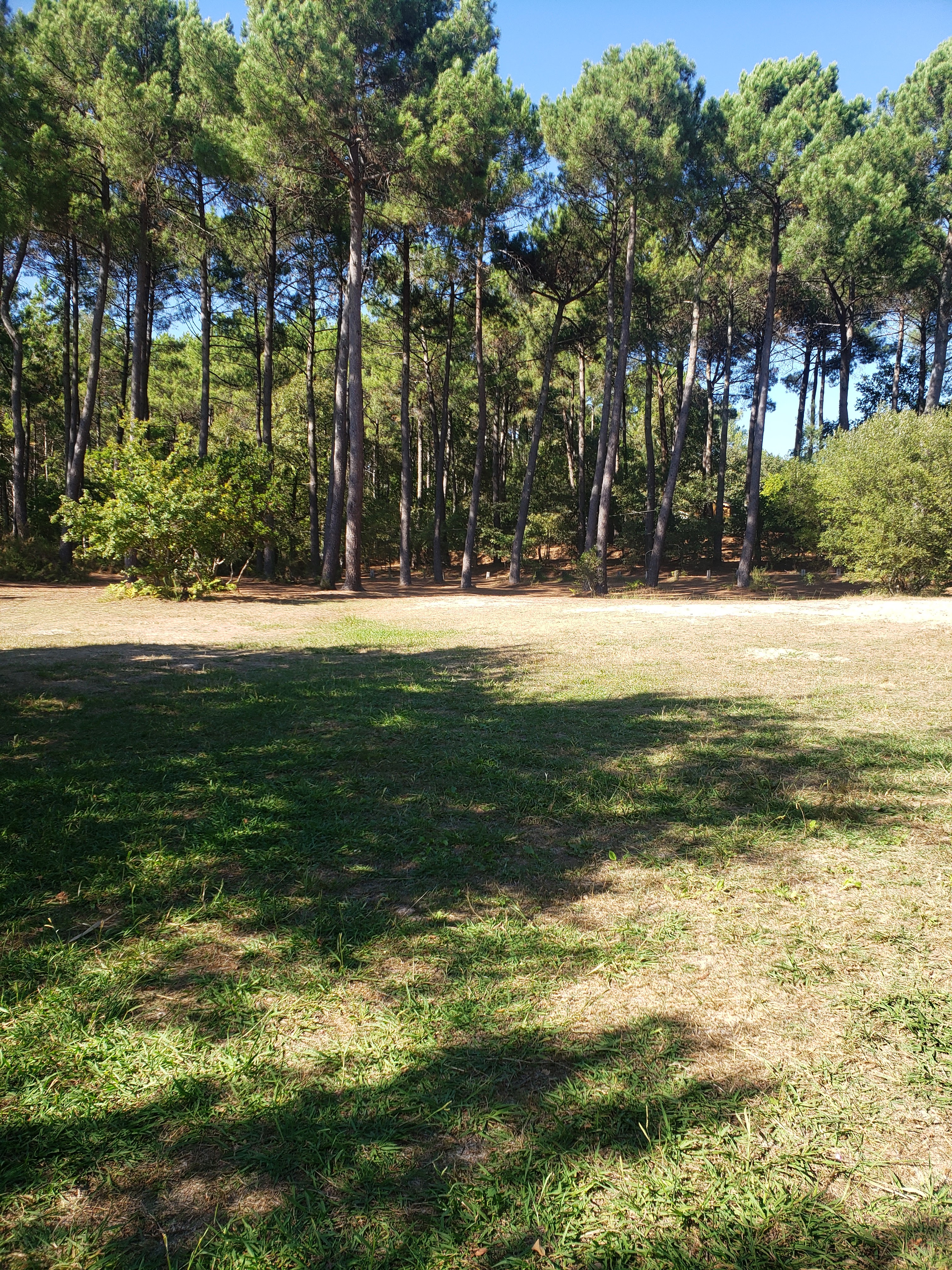 Photo n° 5 de l'avis de Danyele.e fait le 09/10/2019 à 16:28