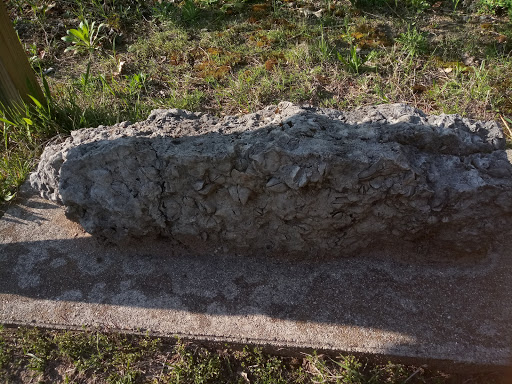 Nature Preserve «DeGraaf Nature Center», reviews and photos, 600 Graafschap Rd, Holland, MI 49423, USA