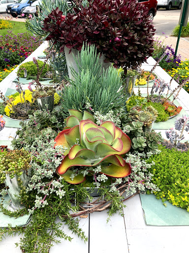 Cafe «Stonewall Kitchen Cafe», reviews and photos, 2 Stonewall Ln #1, York, ME 03909, USA