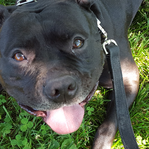 Park «Inwood Park», reviews and photos, 2308 Vine St, Cincinnati, OH 45219, USA