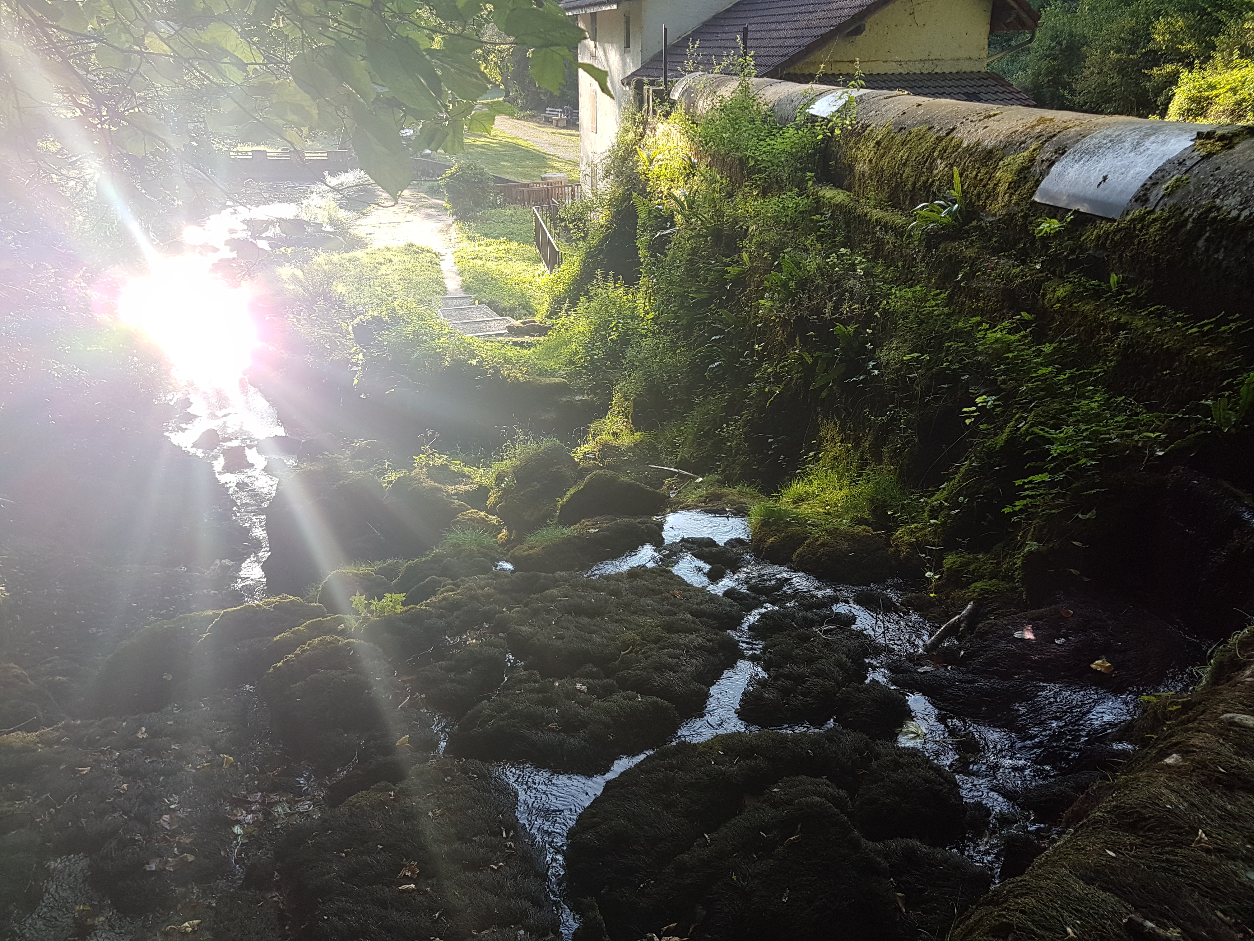 Photo n° 15 de l'avis de Stéphane.a fait le 19/08/2018 à 18:55