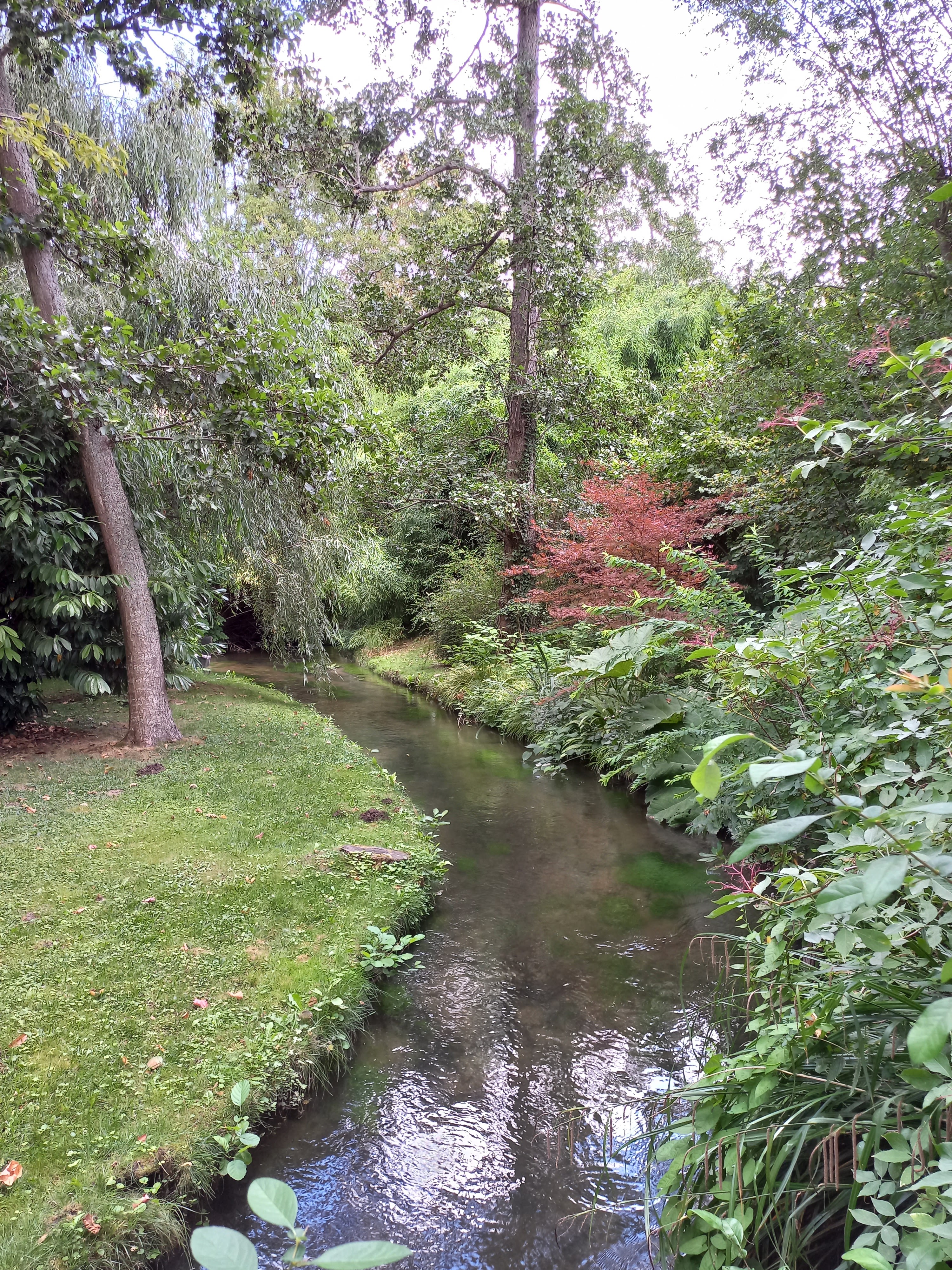 Photo n° 4 de l'avis de Cocotte. fait le 19/08/2022 à 11:25