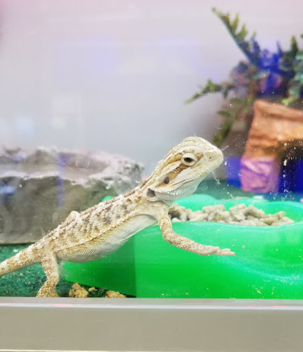 Pet Supply Store «Pet Supplies Plus», reviews and photos, 1137 Annapolis Rd, Odenton, MD 21113, USA