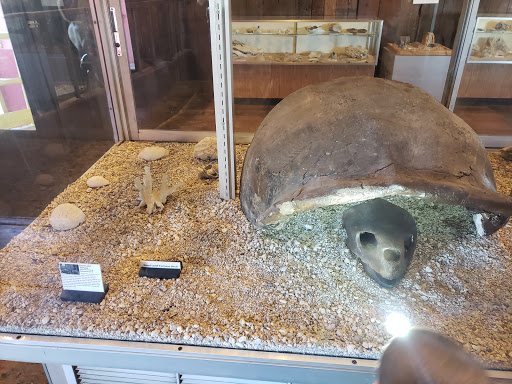 Museum «Phosphate Museum», reviews and photos, 101 SE 1st St, Mulberry, FL 33860, USA