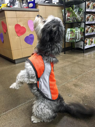 Pet Store «Pet Planet Ridgeview», reviews and photos, 2910 N Power Rd #103, Mesa, AZ 85215, USA