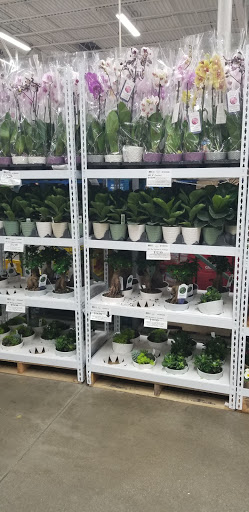 Warehouse club «BJ’s Wholesale Club», reviews and photos, 555 Universal Dr, North Haven, CT 06473, USA