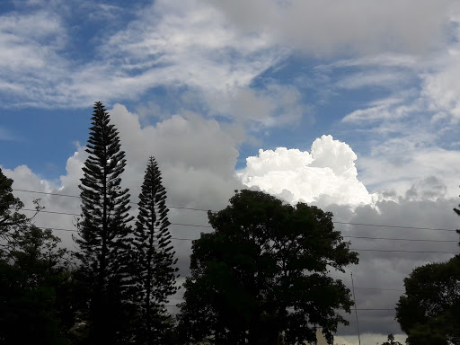 Golf Course «The Bridges at Springtree Golf Club», reviews and photos, 8150 Springtree Dr, Sunrise, FL 33351, USA