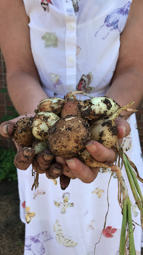 Tourist Information Center «Dublin-Laurens Tourism Council», reviews and photos, 102 Travel Center Blvd, Dublin, GA 31021, USA