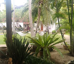 Phangan Cabana Resort photo
