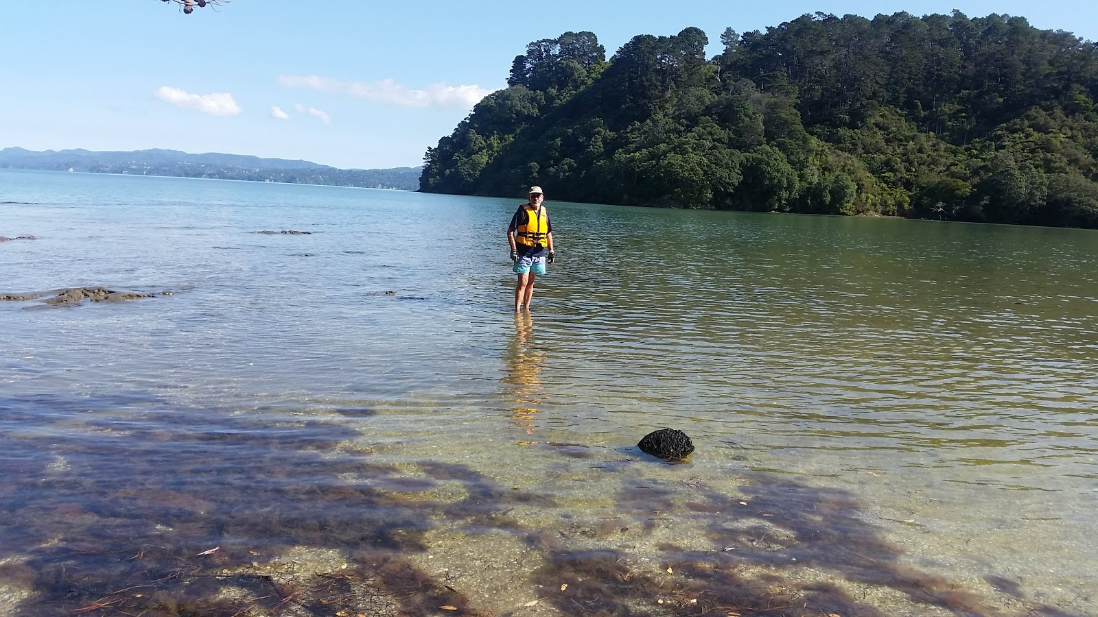 Taylors Bay'in fotoğrafı imkanlar alanı