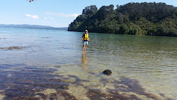Taylors Bay'in fotoğrafı imkanlar alanı