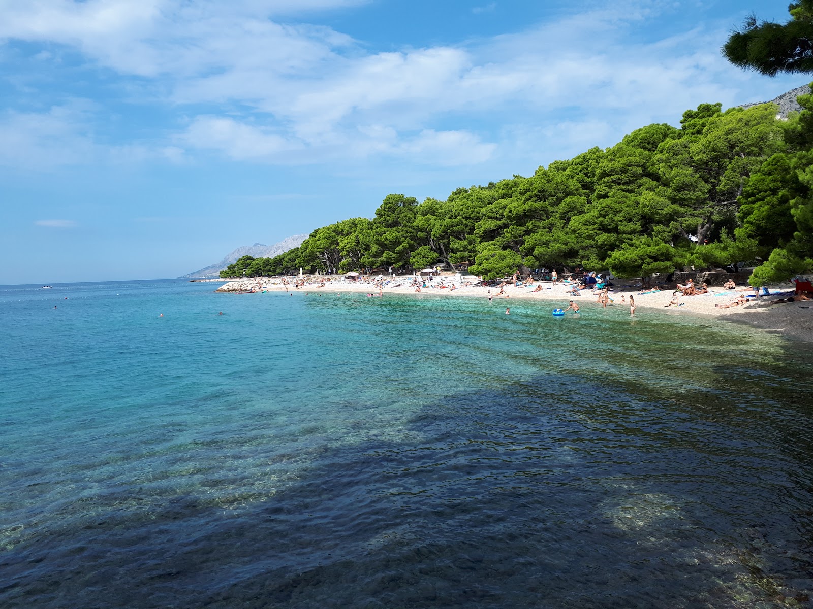 Punta Rata Plajı'in fotoğrafı çok temiz temizlik seviyesi ile