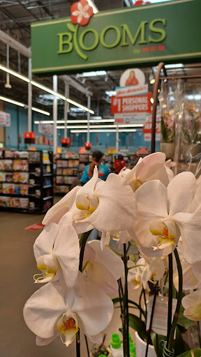 Grocery Store «H-E-B Grocery», reviews and photos, 407 S Adams St, Fredericksburg, TX 78624, USA