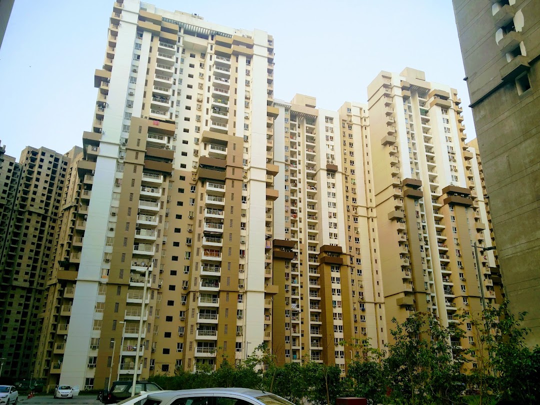 Lotus Boulevard