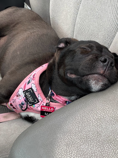 35115 Harper Ave, Charter Twp of Clinton, MI 48035, USA